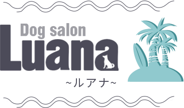 Dog salon Luana