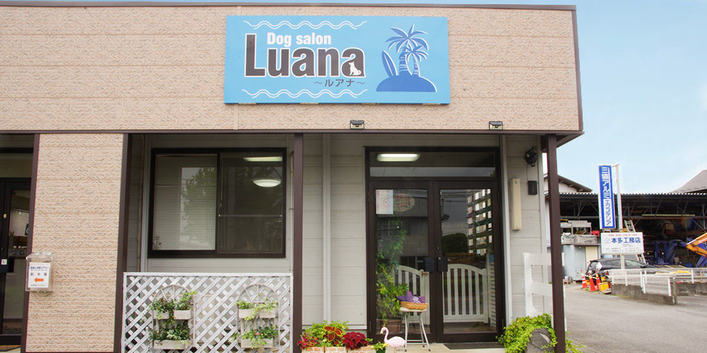 Dog salon Luana